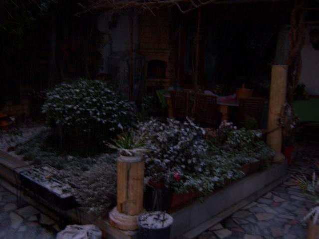Name:  100_4189.jpg
Views: 612
Size:  29.0 KB