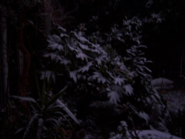 Name:  100_4192.jpg
Views: 590
Size:  25.2 KB