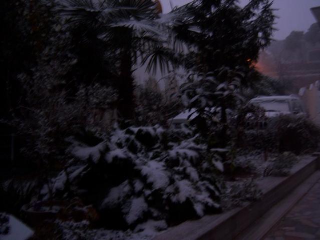 Name:  100_4193.jpg
Views: 624
Size:  32.9 KB