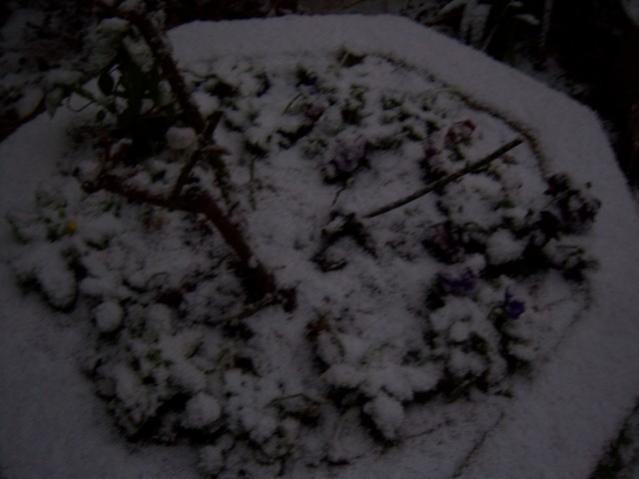 Name:  100_4194.jpg
Views: 603
Size:  30.0 KB