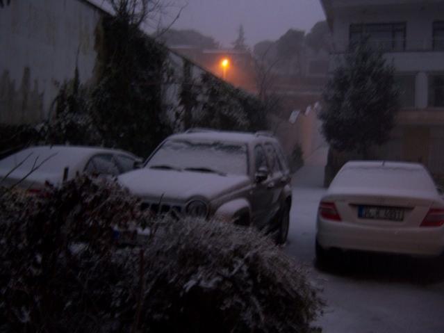Name:  100_4195.jpg
Views: 583
Size:  27.0 KB