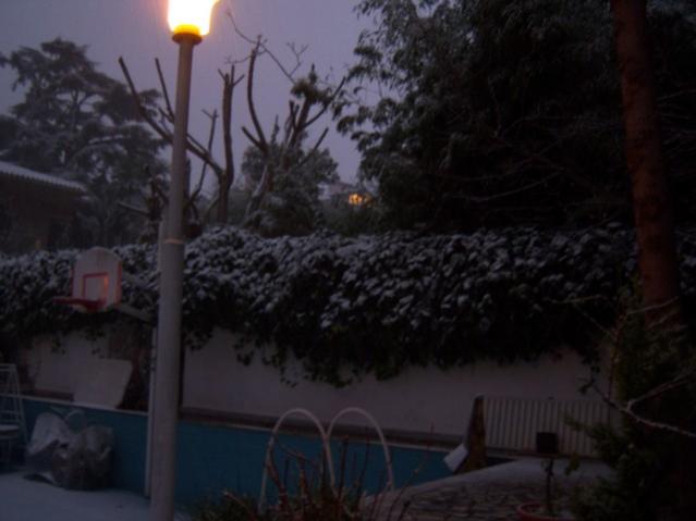 Name:  100_4196.jpg
Views: 602
Size:  30.6 KB