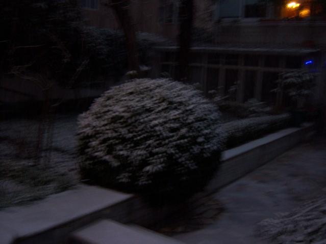 Name:  100_4198.jpg
Views: 622
Size:  25.3 KB