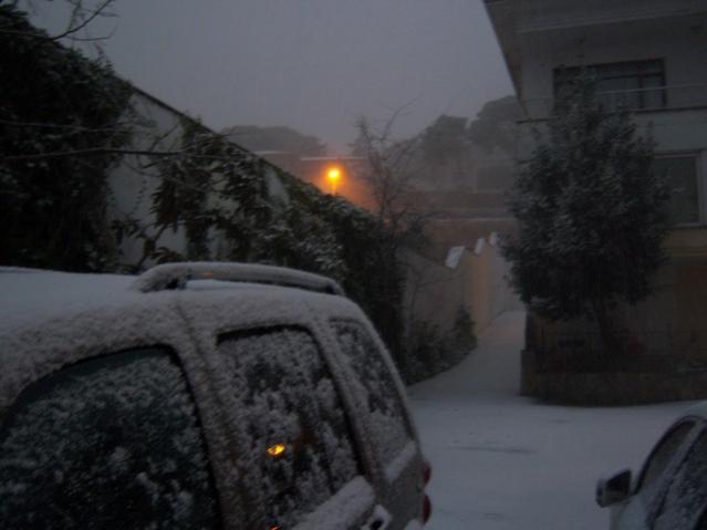 Name:  100_4199.jpg
Views: 622
Size:  27.6 KB