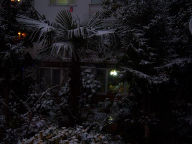 Name:  100_4200.jpg
Views: 625
Size:  34.9 KB