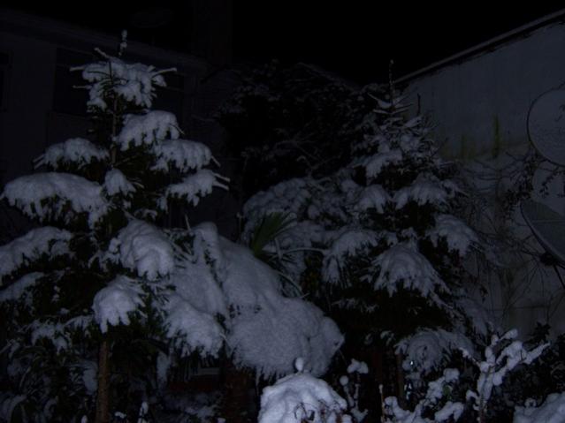 Name:  100_4253.jpg
Views: 852
Size:  34.5 KB