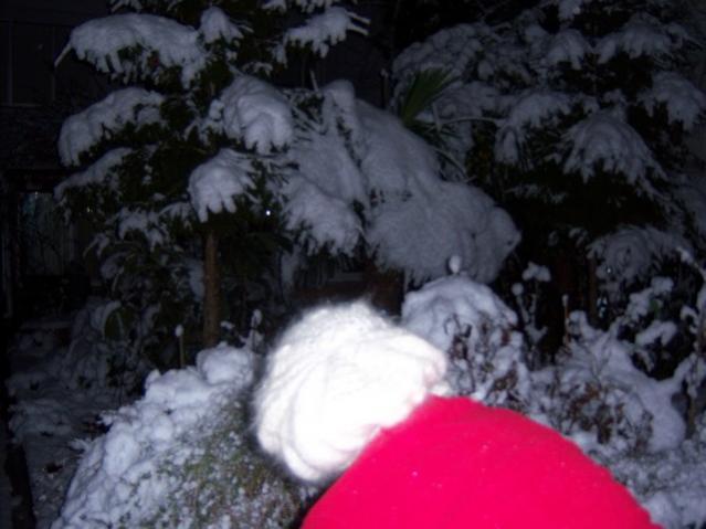 Name:  100_4222.jpg
Views: 842
Size:  37.6 KB