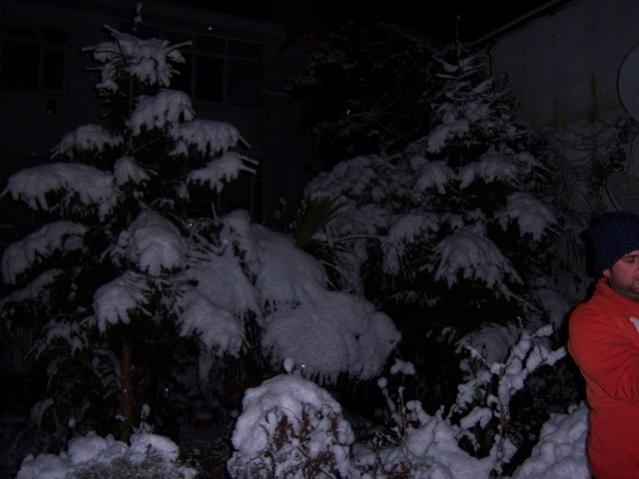 Name:  100_4223.jpg
Views: 821
Size:  35.4 KB