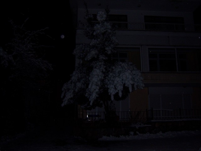 Name:  100_4230.jpg
Views: 576
Size:  59.6 KB