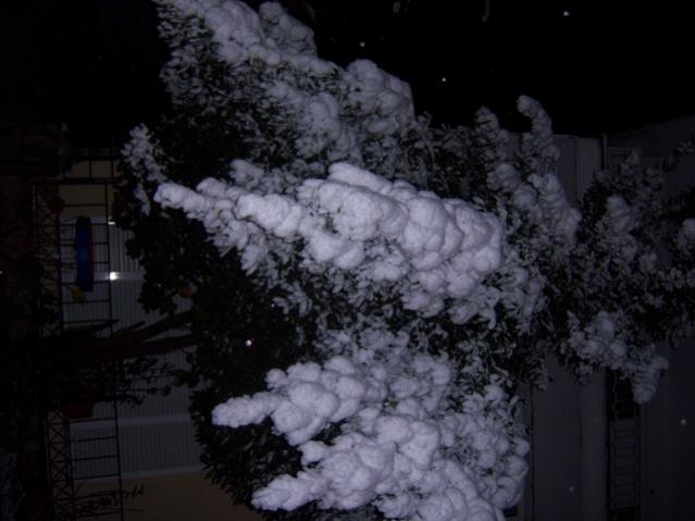 Name:  100_4232.jpg
Views: 599
Size:  36.8 KB