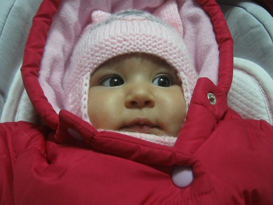 Name:  sevil.JPG
Views: 1145
Size:  43.3 KB