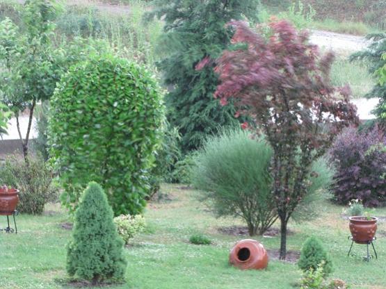 Name:  232.jpg
Views: 743
Size:  52.7 KB