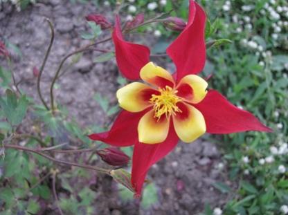 Name:  672.jpg
Views: 878
Size:  23.1 KB
