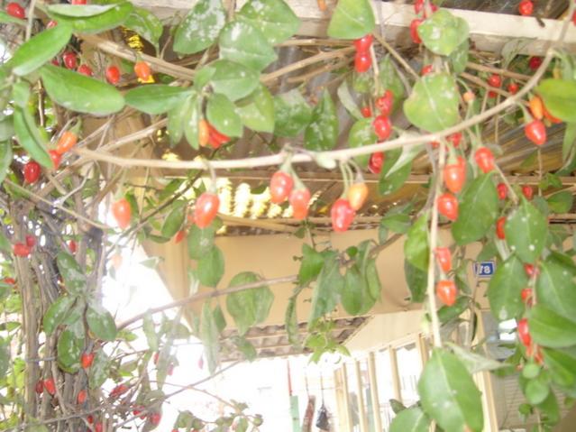 Name:  SL734636.jpg
Views: 875
Size:  54.9 KB