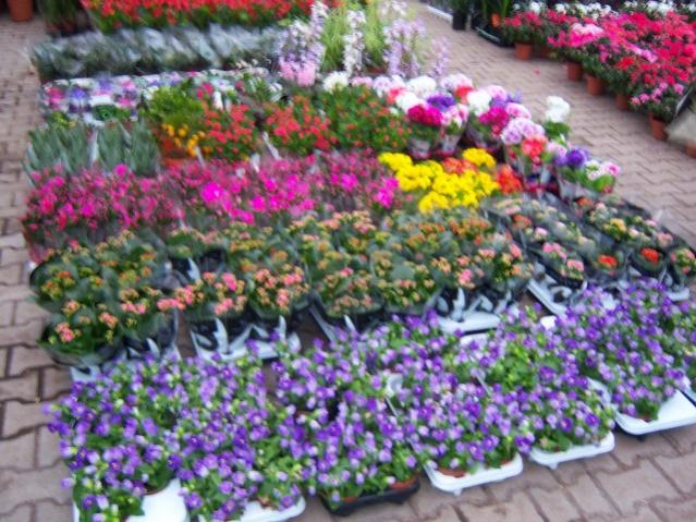 Name:  100_4467.jpg
Views: 301
Size:  69.8 KB