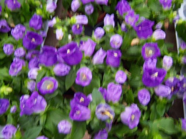 Name:  100_4468.jpg
Views: 277
Size:  46.5 KB