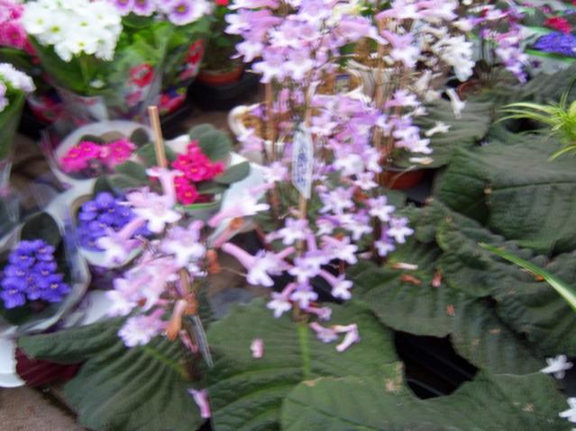 Name:  100_4472.jpg
Views: 284
Size:  51.0 KB