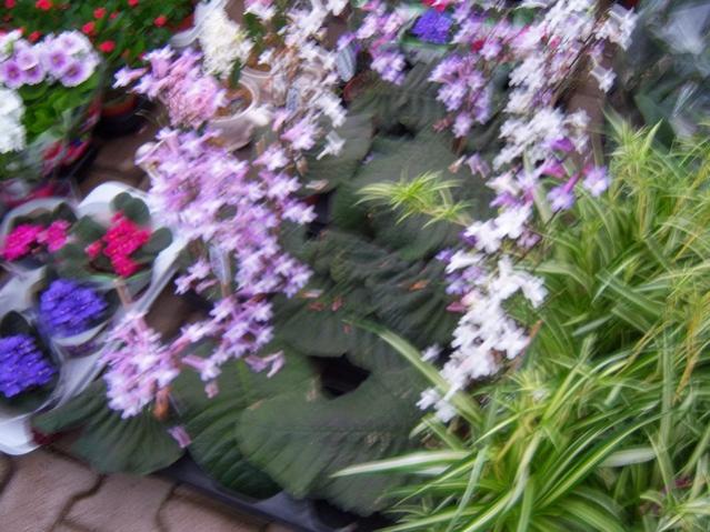 Name:  100_4473.jpg
Views: 257
Size:  60.4 KB