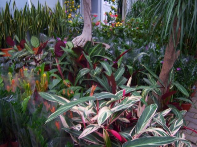 Name:  100_4479.jpg
Views: 266
Size:  56.9 KB
