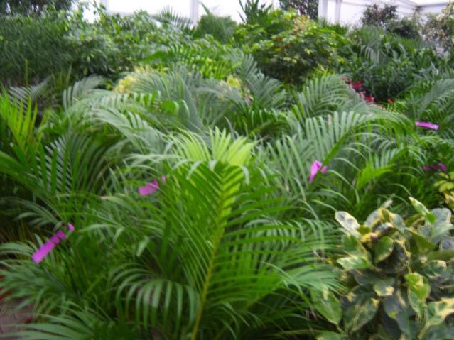 Name:  100_4481.jpg
Views: 260
Size:  57.9 KB