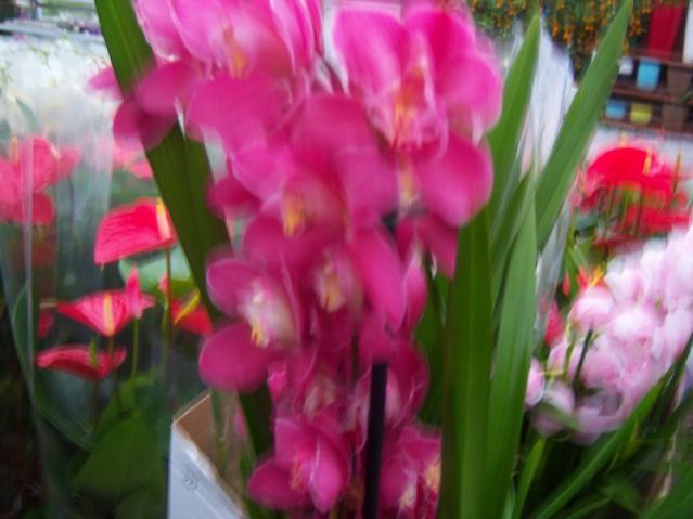 Name:  100_4488.jpg
Views: 291
Size:  37.0 KB