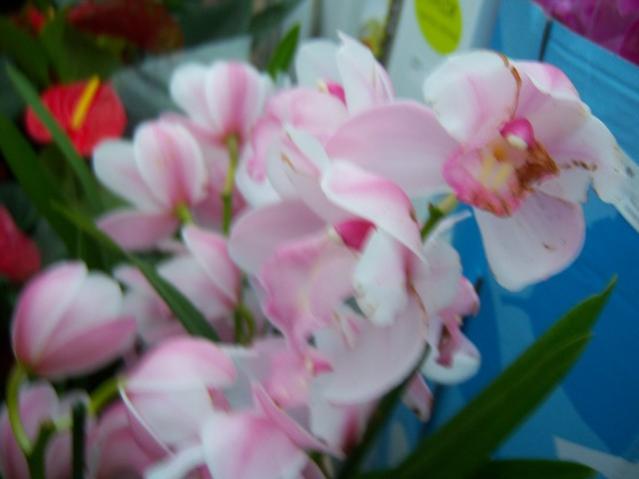 Name:  100_4489.jpg
Views: 248
Size:  28.0 KB