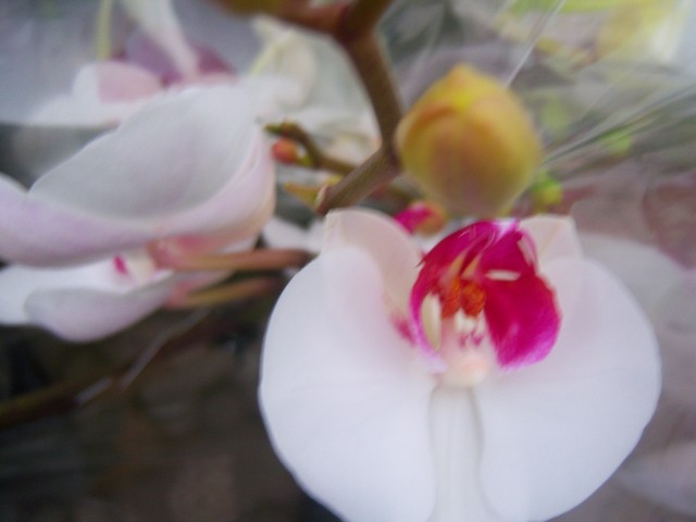 Name:  100_4492.jpg
Views: 243
Size:  67.2 KB