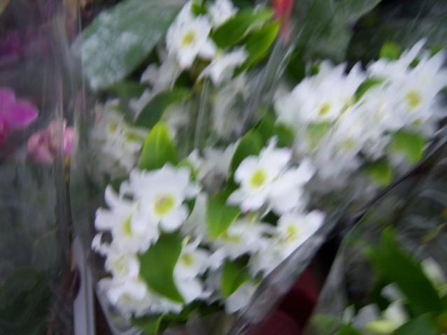 Name:  100_4502.jpg
Views: 245
Size:  32.2 KB