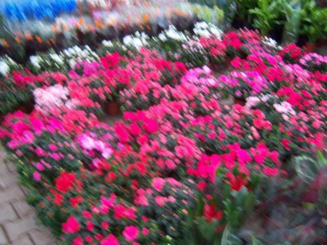 Name:  100_4507.jpg
Views: 268
Size:  60.5 KB