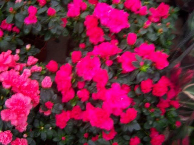 Name:  100_4512.jpg
Views: 246
Size:  41.5 KB