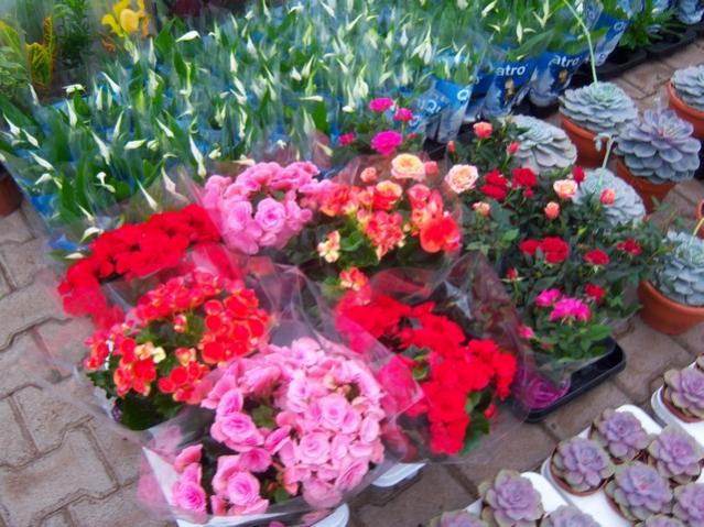 Name:  100_4514.jpg
Views: 260
Size:  65.9 KB