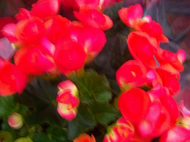 Name:  100_4516.jpg
Views: 258
Size:  31.6 KB