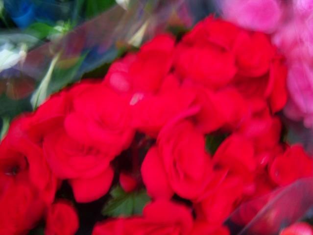 Name:  100_4517.jpg
Views: 229
Size:  23.8 KB