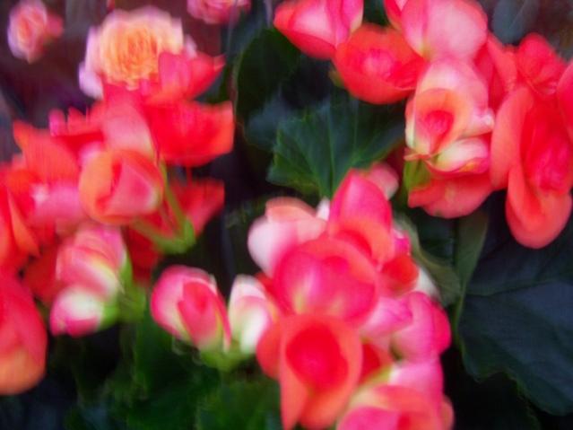 Name:  100_4518.jpg
Views: 257
Size:  32.9 KB