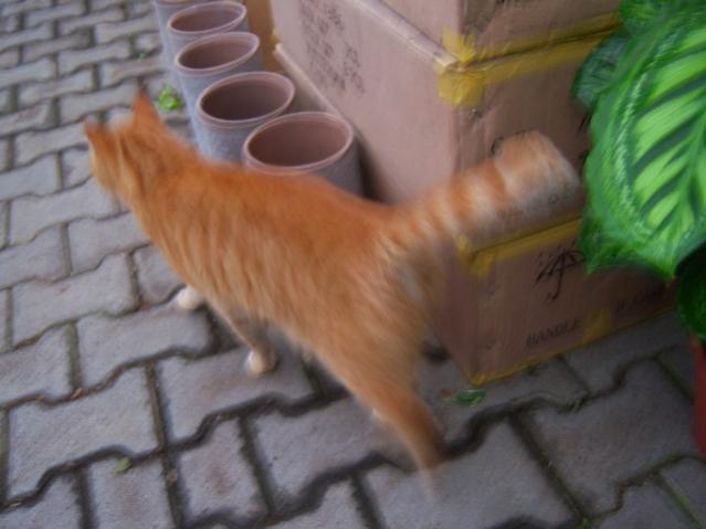 Name:  100_4526.jpg
Views: 263
Size:  32.9 KB