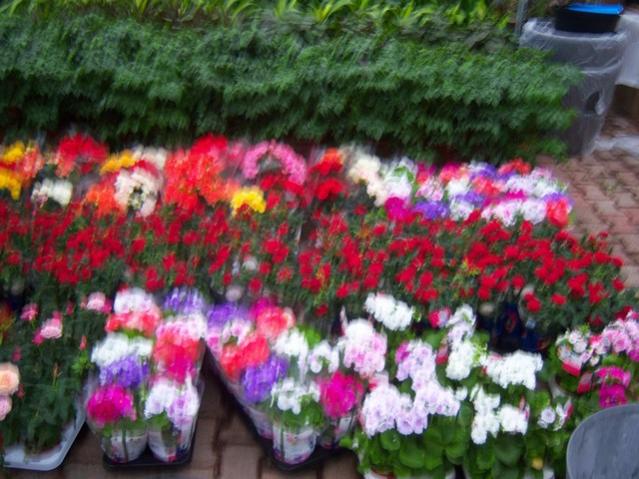 Name:  100_4527.jpg
Views: 240
Size:  57.8 KB