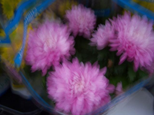 Name:  100_4530.jpg
Views: 252
Size:  28.1 KB