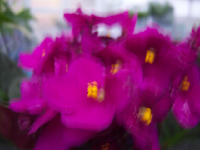 Name:  100_4533.jpg
Views: 262
Size:  68.7 KB