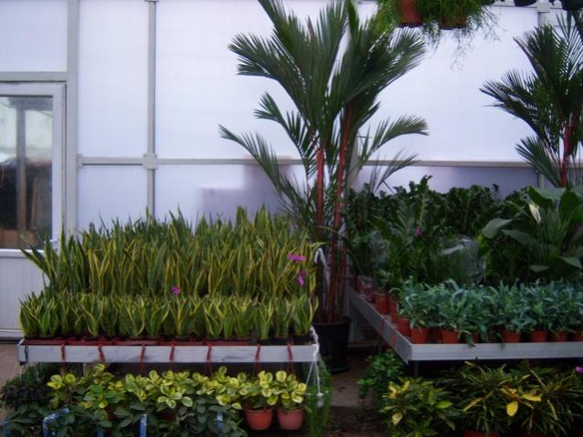 Name:  100_4535.jpg
Views: 245
Size:  53.2 KB
