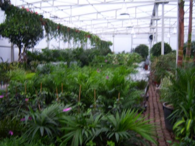 Name:  100_4536.jpg
Views: 270
Size:  49.8 KB
