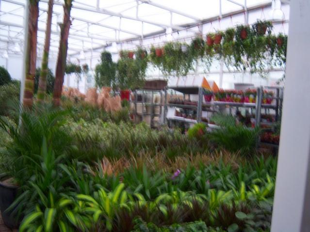 Name:  100_4537.jpg
Views: 256
Size:  49.8 KB