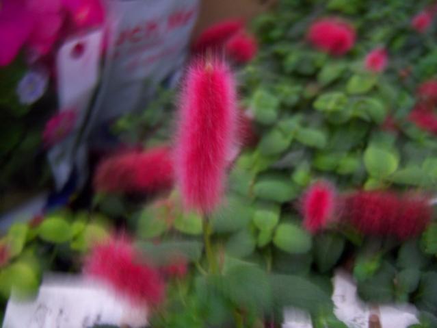 Name:  100_4553.jpg
Views: 241
Size:  26.7 KB