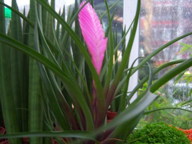 Name:  100_4555.jpg
Views: 239
Size:  40.3 KB