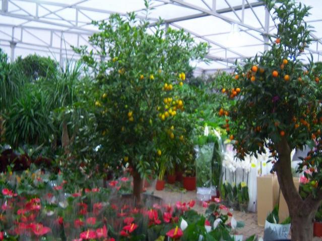 Name:  100_4559.jpg
Views: 256
Size:  60.2 KB