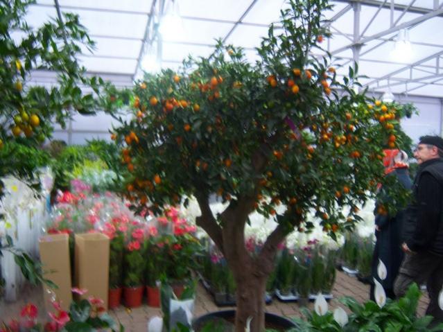 Name:  100_4560.jpg
Views: 249
Size:  57.1 KB