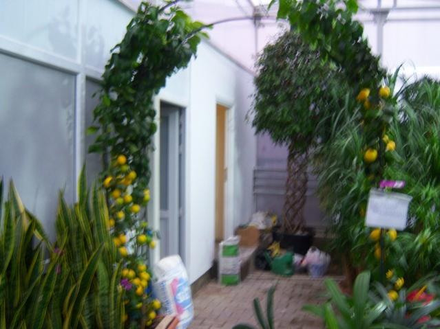 Name:  100_4562.jpg
Views: 260
Size:  44.1 KB