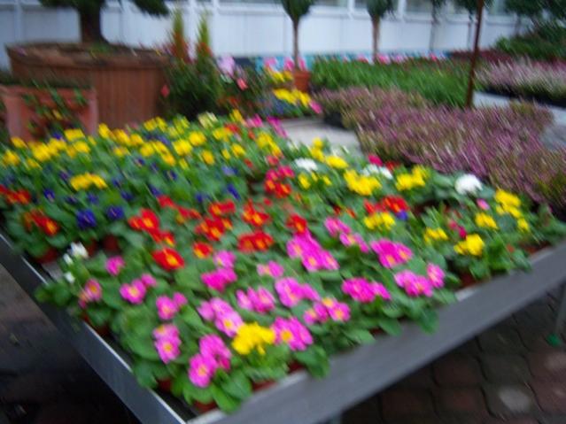Name:  100_4563.jpg
Views: 287
Size:  48.7 KB