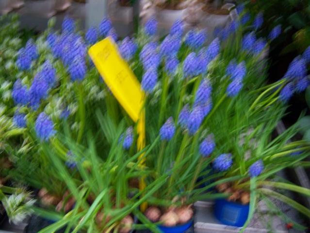 Name:  100_4565.jpg
Views: 265
Size:  47.8 KB