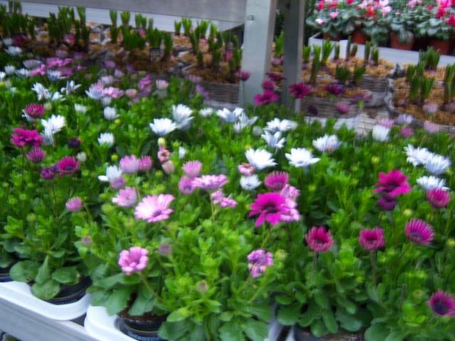 Name:  100_4567.jpg
Views: 286
Size:  56.7 KB