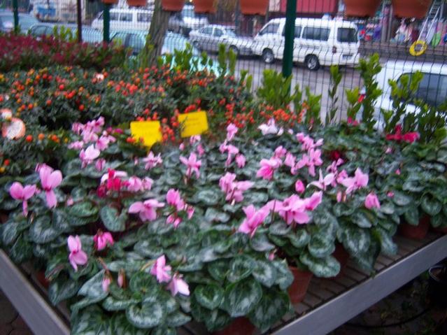 Name:  100_4569.jpg
Views: 247
Size:  64.5 KB